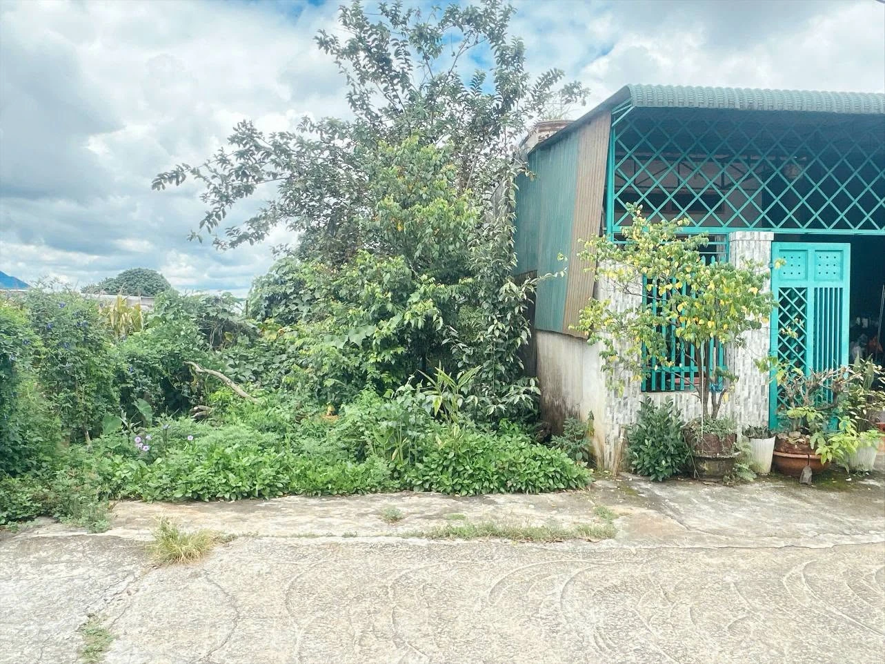 Bán đất 5,3x20m Tân Hoà Bình Chánh 1 tỷ 450 - Ảnh 1