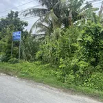 Ngân hàng thanh lý lô đất 1.442m2 tại Ngãi Tứ, Tam Bình, Vĩnh Long - Ảnh thu nhỏ 4