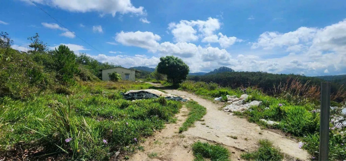 Bán lô đất 3000m² với nhà cấp 4, Xuân Thọ, Bình Dương - Ảnh thu nhỏ 3