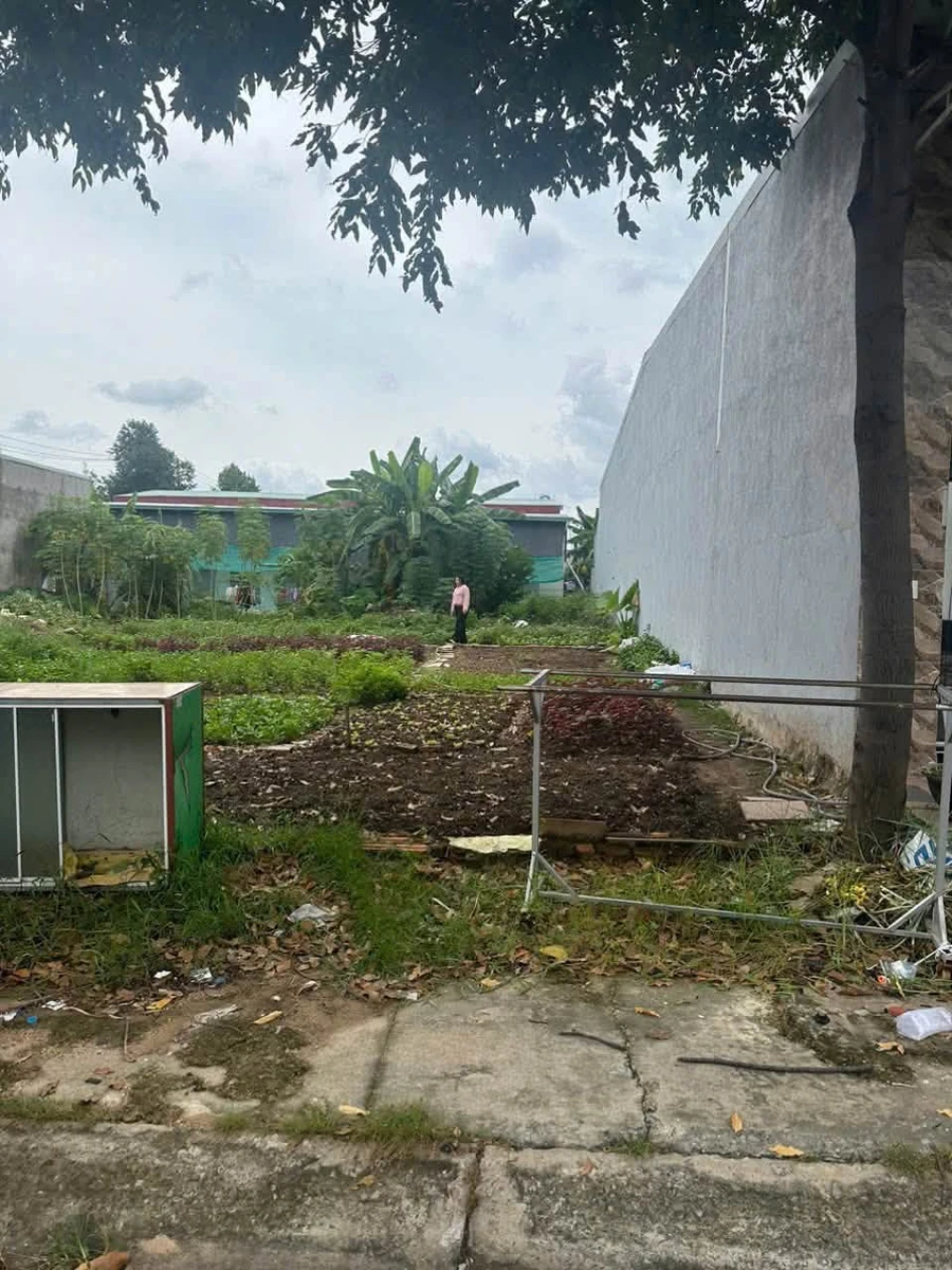 Bán đất mặt tiền kinh doanh 10x30 (300m2) khu TĐC Mỹ Phước 2, Bến Cát, Bình Dương - Ảnh 1