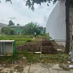 Bán đất mặt tiền kinh doanh 10x30 (300m2) khu TĐC Mỹ Phước 2, Bến Cát, Bình Dương - Ảnh thu nhỏ 1