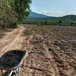 Bán đất Bắc Bình 9,5 mẫu 2,7 tỷ giáp sông suối - Ảnh thu nhỏ 2