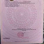 Bán đất mặt tiền Tỉnh Lộ 8 Diên Lâm 306m2 Nhà Bè - Ảnh thu nhỏ 1
