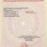 Bán đất thổ 81m2 khu dân cư Nam Phong Dragon, Long An - Ảnh thu nhỏ 5