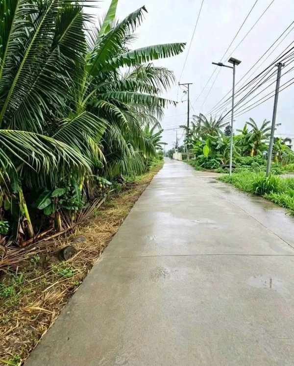 Bán đất 1500m² mặt tiền Long An, giá 750 triệu/1000m²