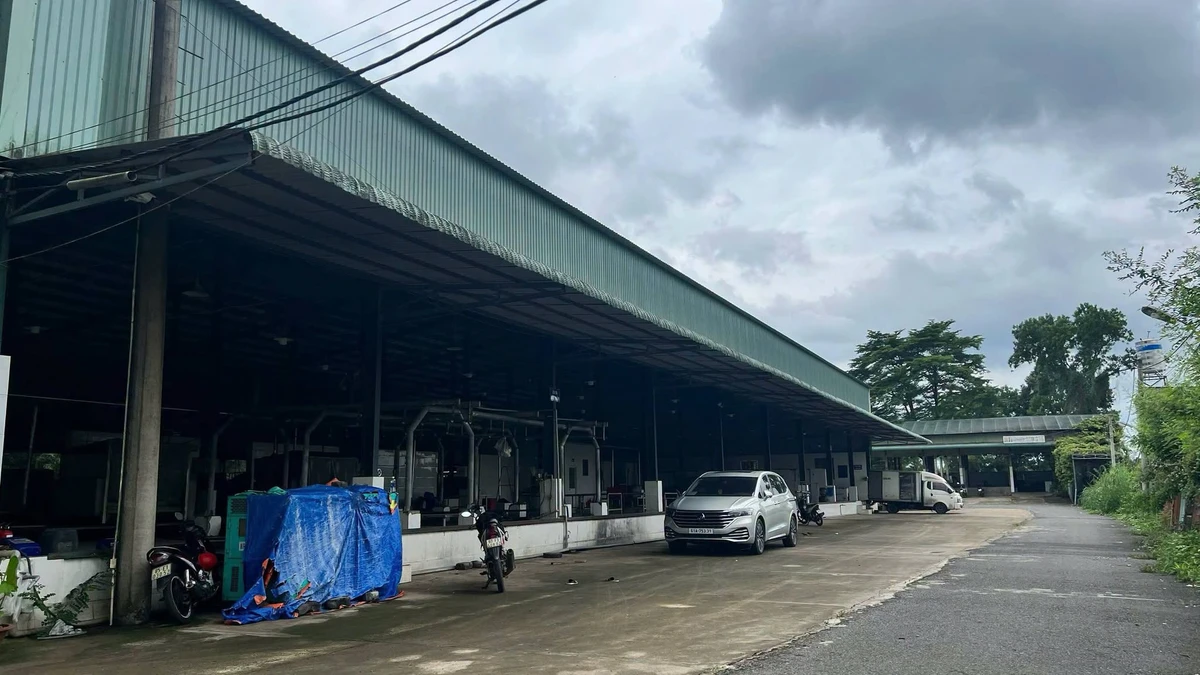 Bán nhà xưởng lò mổ gia cầm 28.000m2 Trảng Bom, Đồng Nai - Ảnh thu nhỏ 2