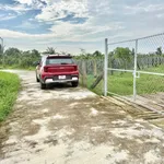 Bán 850m² đất cây trồng Hàm Liêm, Bình Thuận - Ảnh thu nhỏ 1