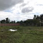 Bán đất xã Long Sơn, Cần Đước, Long An 114m2, 1.1 tỷ - Ảnh thu nhỏ 1
