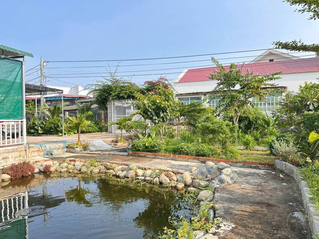 Bán nhà vườn 440m2 Phường Bình Thuận, Phan Thiết 2.5 tỷ - Ảnh thu nhỏ 2
