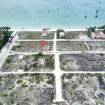 Bán đất TĐC Bá Hà 2 160 m2, 46 triệu/m2 - Ảnh thu nhỏ 1