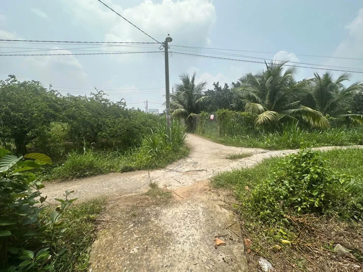 Bán đất công Sơn Đông Bến Tre 4.366m² 1.4tr/m² - Ảnh thu nhỏ 5