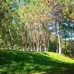 Bán nhà 3 tầng 2 mặt tiền đường Lý Tự Trọng - Đối diện Quảng Trường - Ảnh thu nhỏ 1