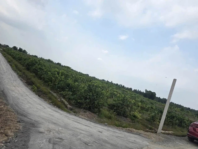 Bán lô góc 2 mặt tiền 1.000m² Thạnh Hòa Bến Lức Long An
