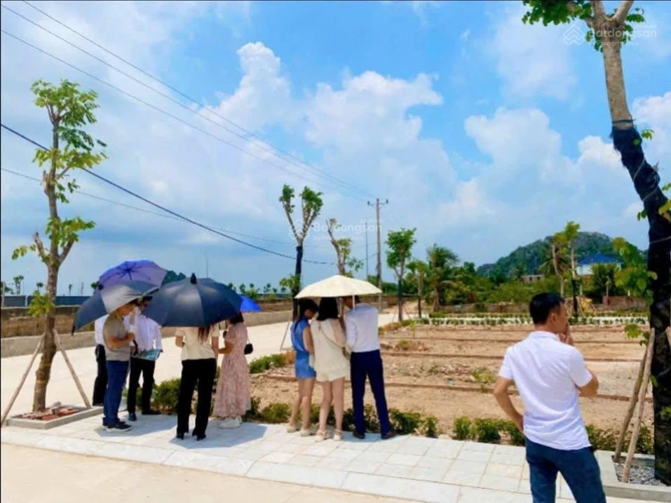 Đất full thổ cư sổ hồng riêng sát Vinhomes Hạ Long Xanh - Ảnh thu nhỏ 2