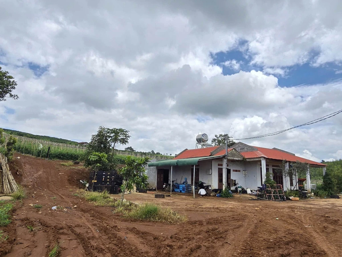 Bán đất mặt tiền Huỳnh Tấn Phát Đà Lạt 85 tỷ 5365 m² - Ảnh thu nhỏ 3