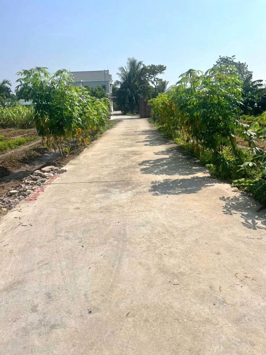 Bán lô đất 99m2 mặt tiền Liên Xã Ninh Giang - Ảnh thu nhỏ 4