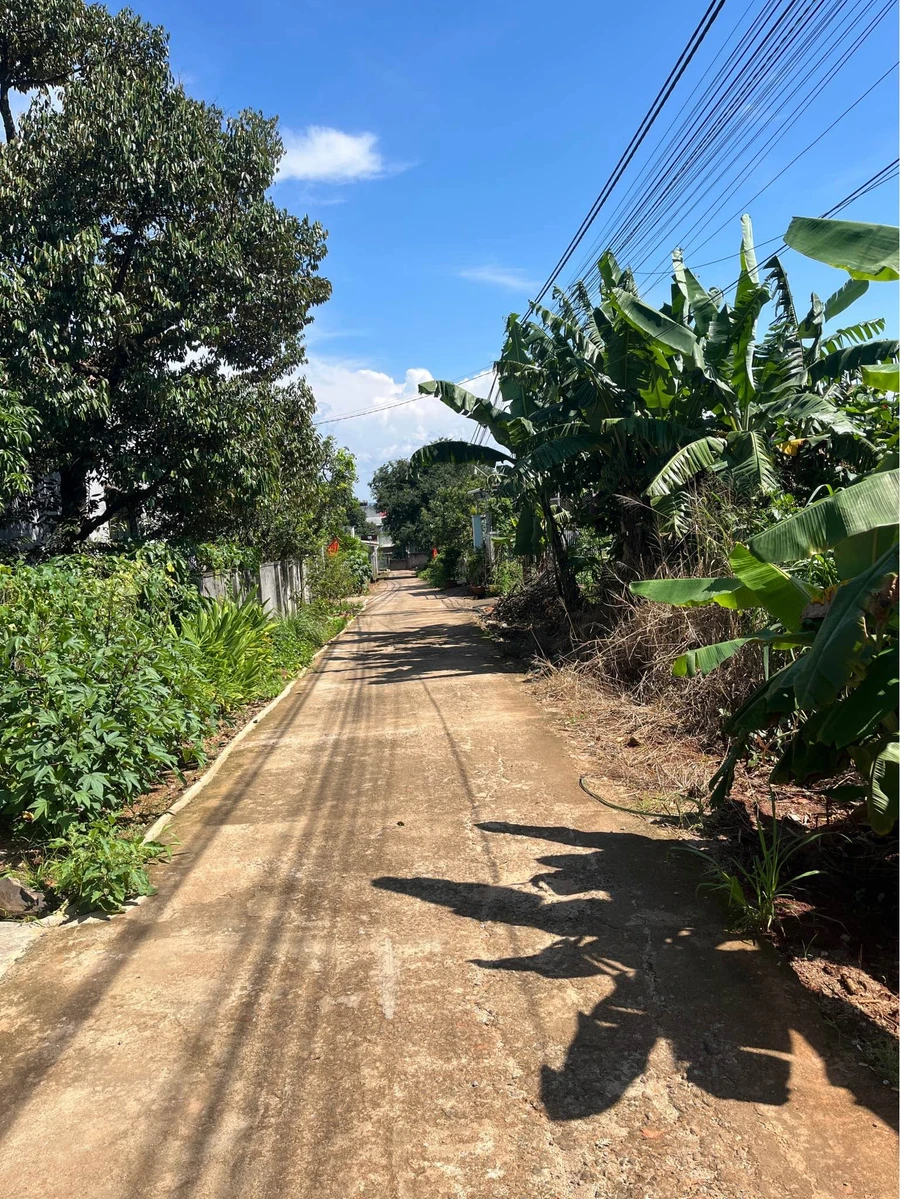 Bán lô đất thổ cư 6x40m hẻm 290 Trần Nhân Tông, phường Thành Nhất, giá 870 triệu - Ảnh thu nhỏ 2