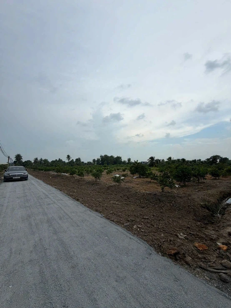 Bán đất 500m² Bến Lức Long An 760 triệu sát QL816 - Ảnh thu nhỏ 4