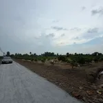 Bán đất 500m² Bến Lức Long An 760 triệu sát QL816 - Ảnh thu nhỏ 4