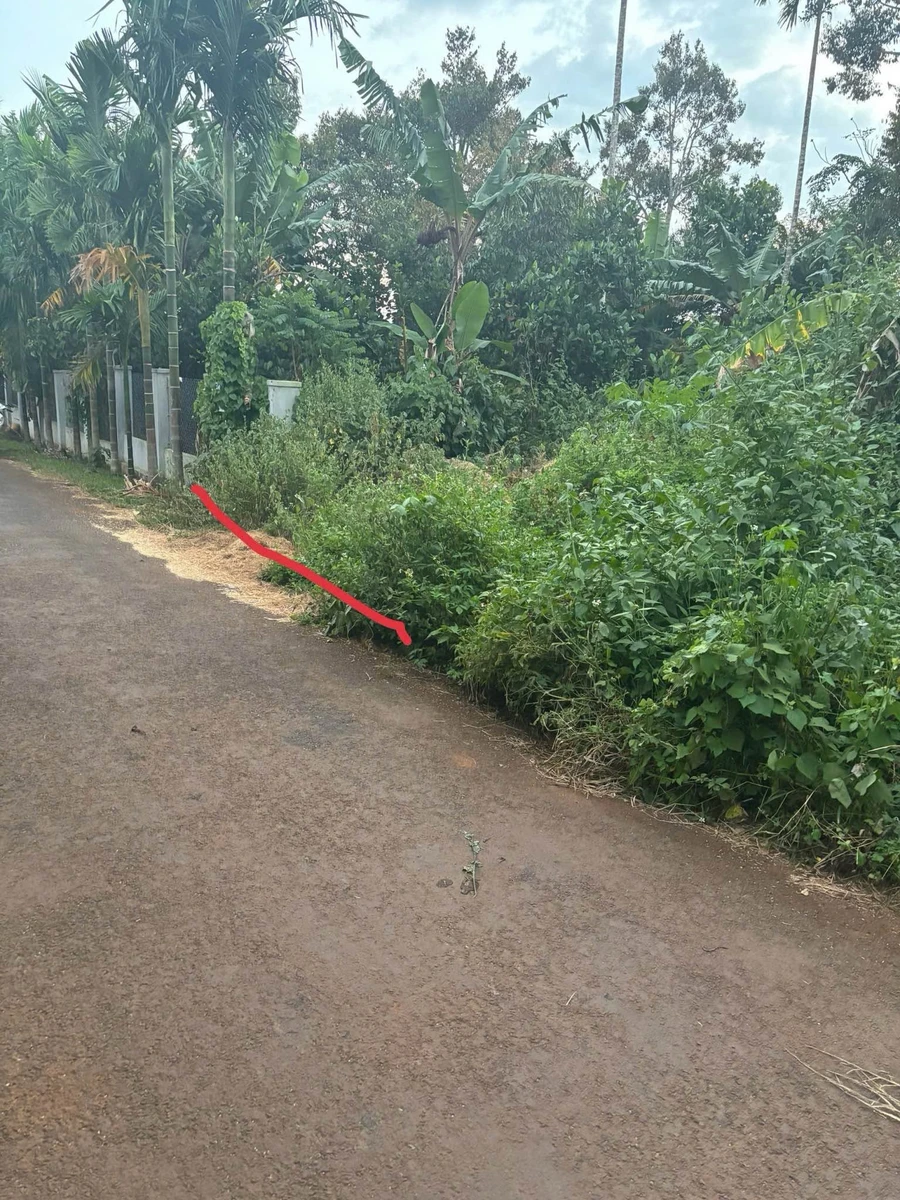 Bán đất Trục B4 150m² Buôn EaNao B 1 tỷ 870 triệu - Ảnh thu nhỏ 4