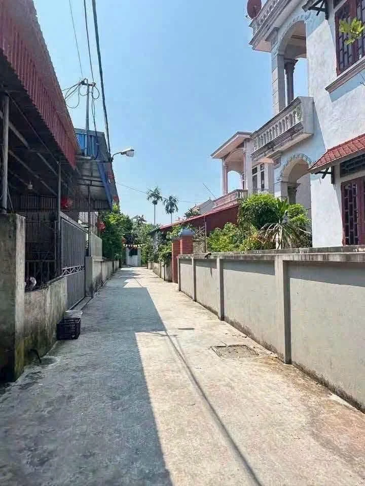 Bán đất Hậu Bổng Gia Lộc 90m2 giá 6xx triệu - Ảnh 1