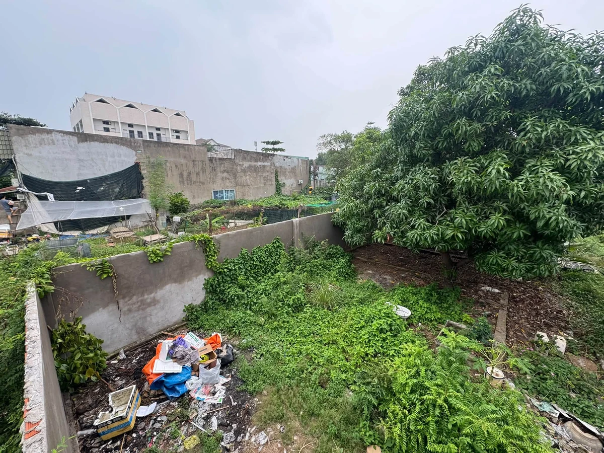 Bán đất view sông 1000m2 đường số 1, Hiệp Bình Chánh, Thủ Đức - Ảnh thu nhỏ 3