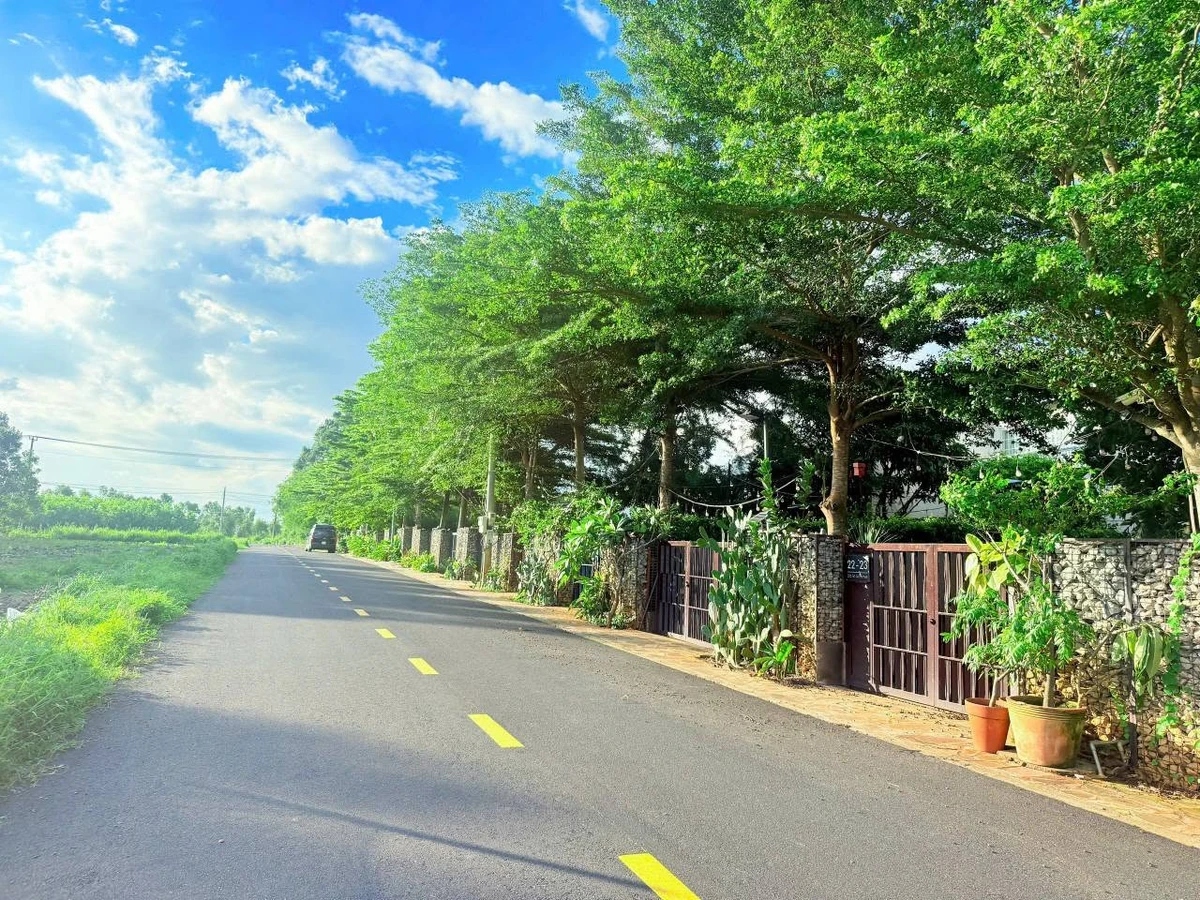Bán đất biển Phước Hải 5000m2 giá 8 tỷ 500 - Ảnh thu nhỏ 5