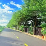 Bán đất biển Phước Hải 5000m2 giá 8 tỷ 500 - Ảnh thu nhỏ 5