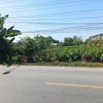 Bán Đất 1053,5 m2 tại Đường Quốc lộ 54, Xã Tân Thành, Huyện Lai Vung, 4,2 tỷ - Ảnh thu nhỏ 6