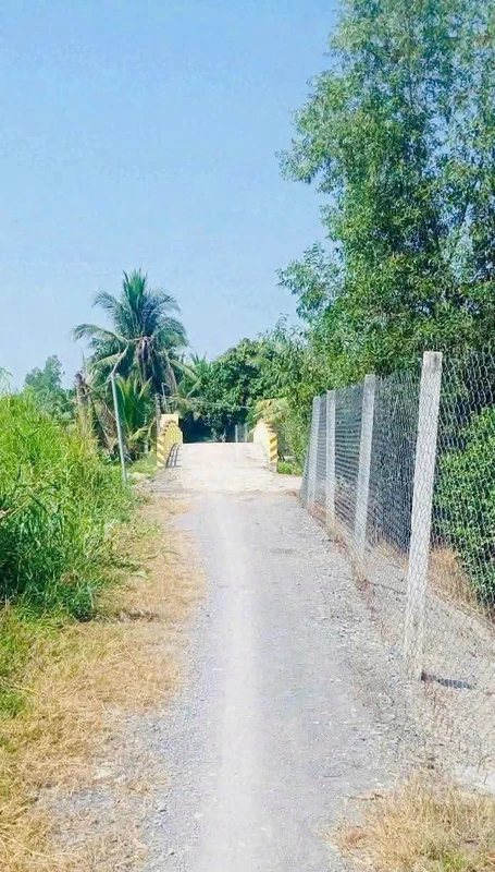 Bán 4.800m² đất vườn Long An, giá 1 tỷ 900 triệu