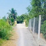 Bán 4.800m² đất vườn Long An, giá 1 tỷ 900 triệu - Ảnh thu nhỏ 1