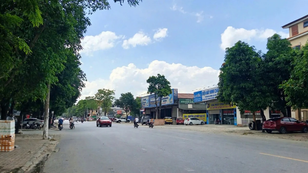 Bán đất kinh doanh 135,8m2 Trường Chinh, TP Vinh, Nghệ An - Ảnh thu nhỏ 2