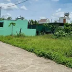 Bán đất Diên Lạc gần Lạc Bình 379m² 749 triệu Bình Chánh - Ảnh thu nhỏ 2