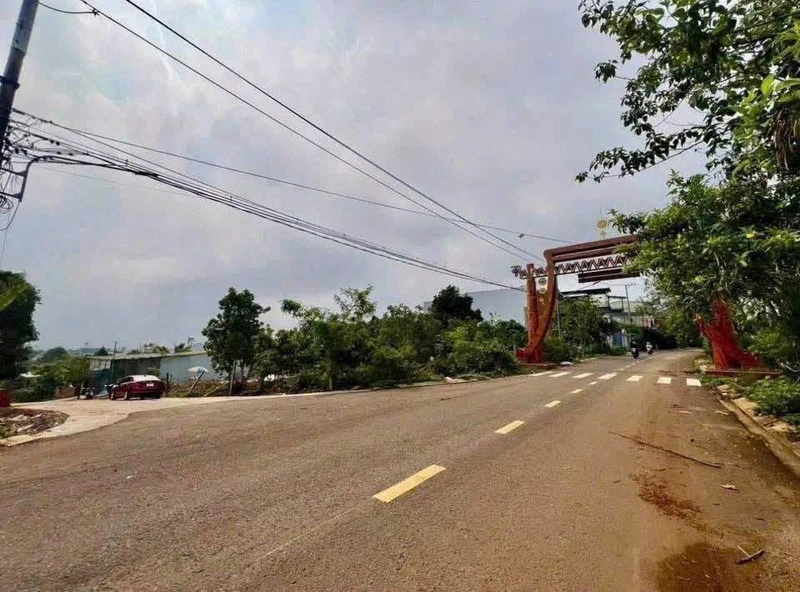 Bán đất hẻm Bùi Dự Pleiku 175m² giá 1 tỷ