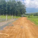 Bán đất 80m2 xã Phan Tây Ninh 329 triệu - Ảnh thu nhỏ 5