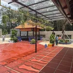 Bán đất vườn An Thái Phú Giáo 1.800m² giá 3,5 tỷ - Ảnh thu nhỏ 4