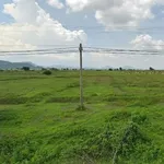 Bán 4 ha đất mặt tiền ĐT711 Hàm Thuận Bắc, Bình Thuận 270 tr/sào - Ảnh thu nhỏ 2