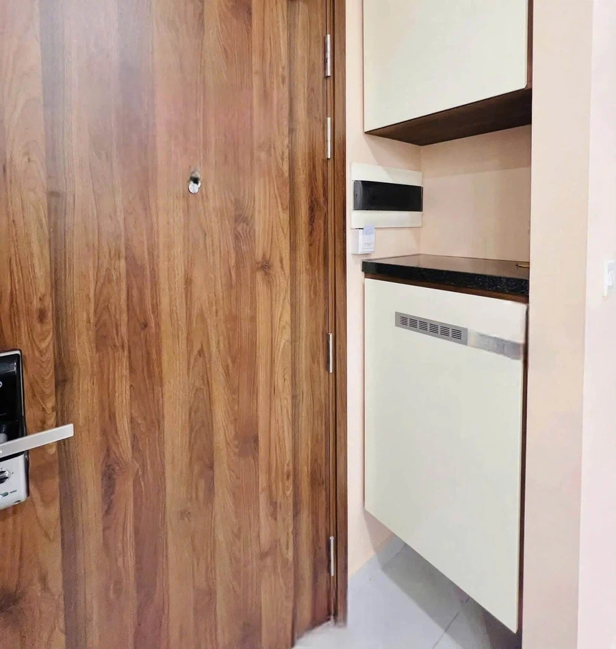 Cho thuê căn hộ 1PN 52m² The Emerald Golf View, Đại lộ Bình Dương, 8 triệu/tháng - Ảnh thu nhỏ 4