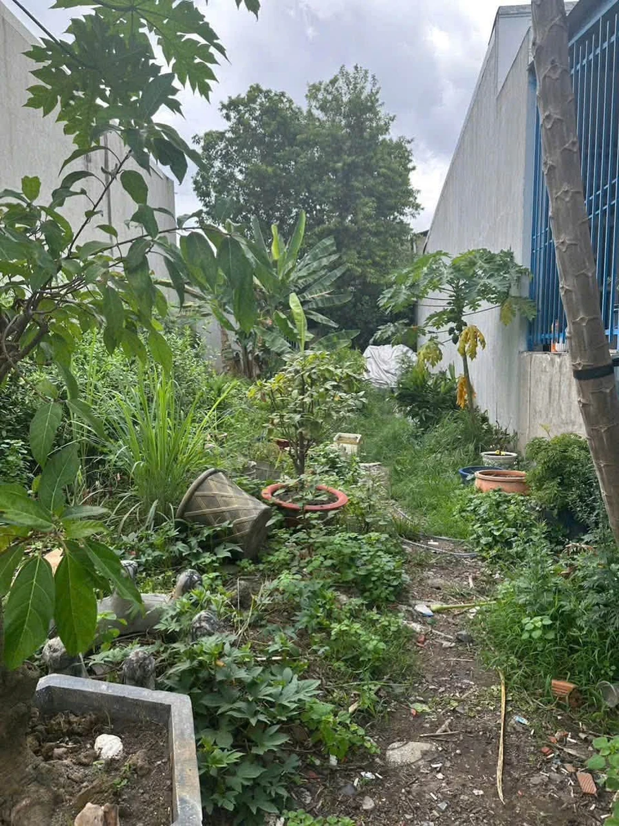 Bán đất N3 KDC Kim Thạnh 100m2 Tân Hiệp 2.7 tỷ - Ảnh thu nhỏ 4