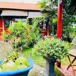 Bán đất vườn 1.333m² Thôn 5 Hàm Liêm 1 tỷ 500 - Ảnh thu nhỏ 3