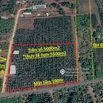 Bán đất thổ cư 100m2 góc 2 mặt tiền Lâm San Cẩm Mỹ 12 tỷ - Ảnh thu nhỏ 1