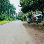 Bán đất 8000m² mặt tiền Tín Nghĩa, Bình Lộc, Đồng Nai - Ảnh thu nhỏ 4