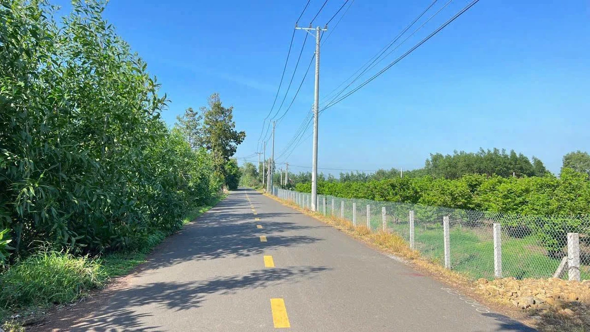 Bán đất mặt tiền Phạm Hùng 1441m2 Bà Rịa - Vũng Tàu - Ảnh thu nhỏ 3