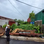 Bán đất 202 m² mặt tiền 6.5m Hải Phòng - Ảnh thu nhỏ 2