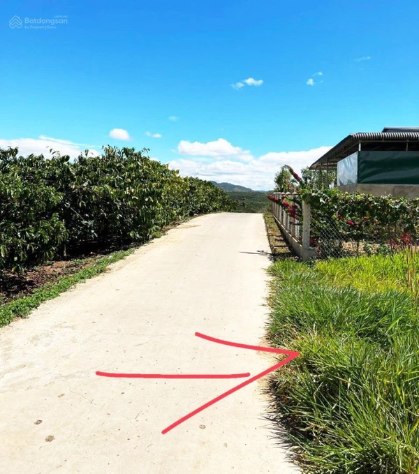Bán đất 1.670m2 đất vườn có 200m2 thổ cư tại Tân Hà, Lâm Hà, Lâm Đồng, giá chỉ 870tr