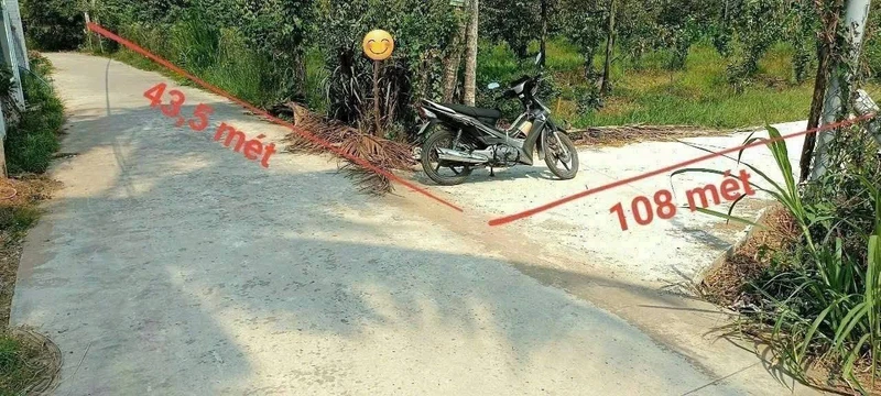 Bán vườn bưởi sầu riêng 5.339m² Vĩnh Long