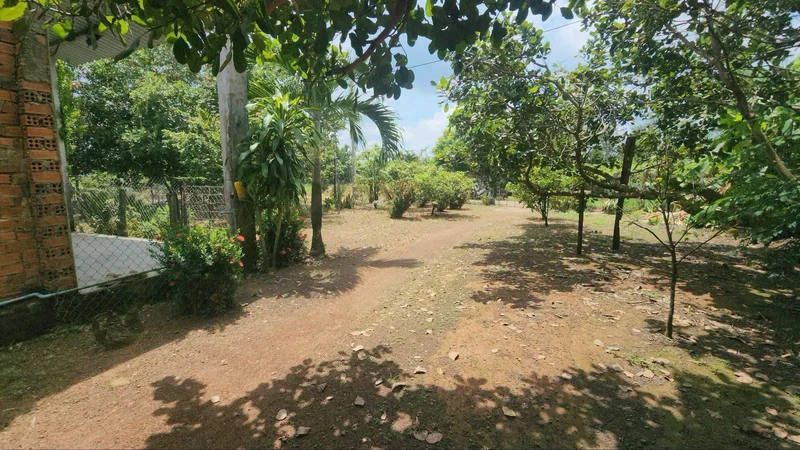Đất thổ cư 50m² cạnh nhà xưởng, Thiện Hưng, Đồng Nai