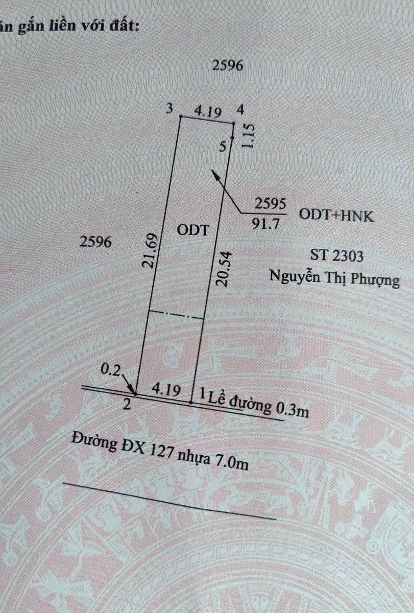 Bán lô đất Tân An Thủ Dầu Một 65.4m² giáp đường DX127 - Ảnh thu nhỏ 3