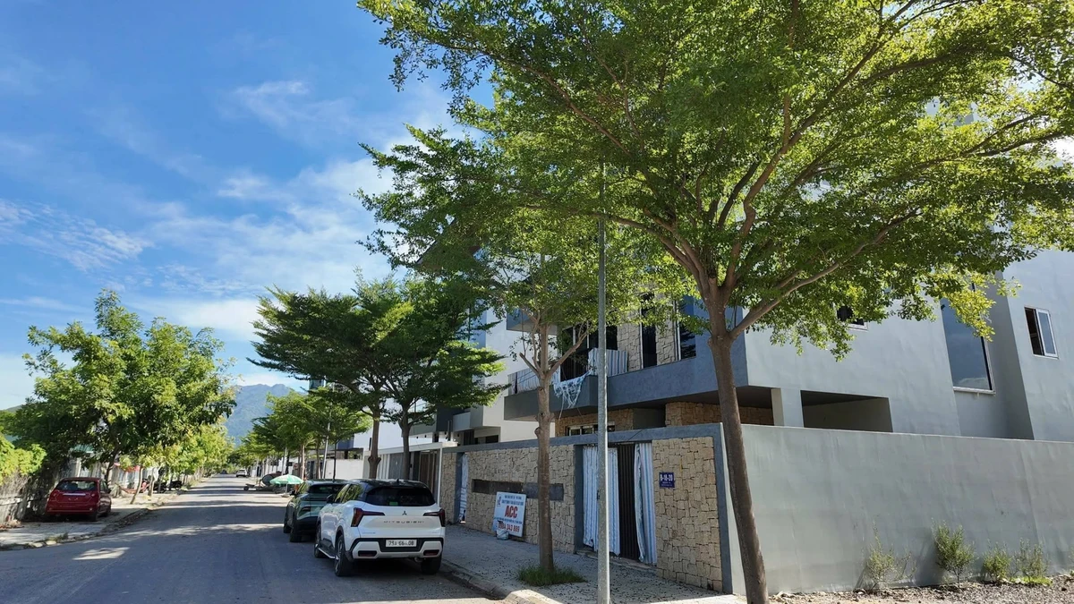 Bán biệt thự 7PN, 596m² đối diện công viên, Nha Trang 23 tỷ - Ảnh thu nhỏ 2