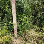 Bán đất 99m² Ninh An, Ninh Hòa, Khánh Hòa 300 triệu - Ảnh thu nhỏ 3